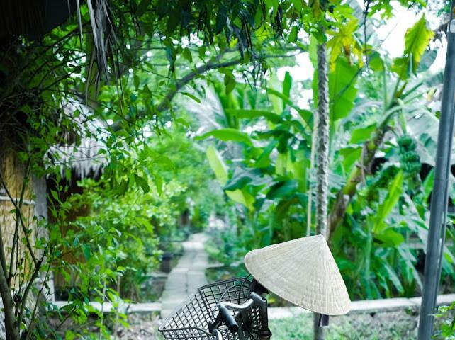 Dan Sinh Homestay كان ثو المظهر الخارجي الصورة