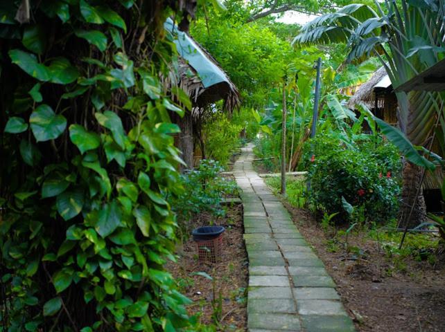 Dan Sinh Homestay كان ثو المظهر الخارجي الصورة