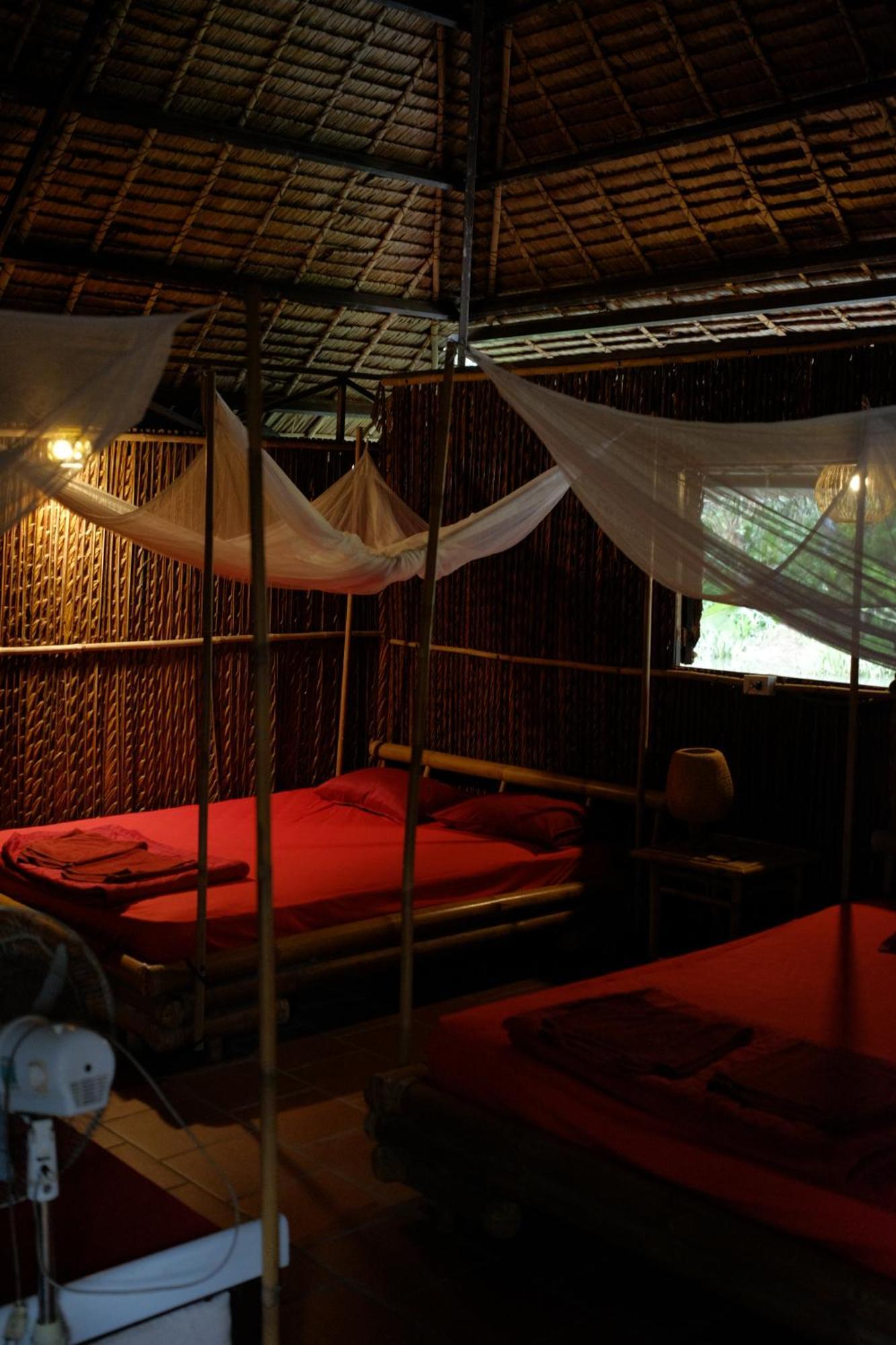 Dan Sinh Homestay كان ثو المظهر الخارجي الصورة