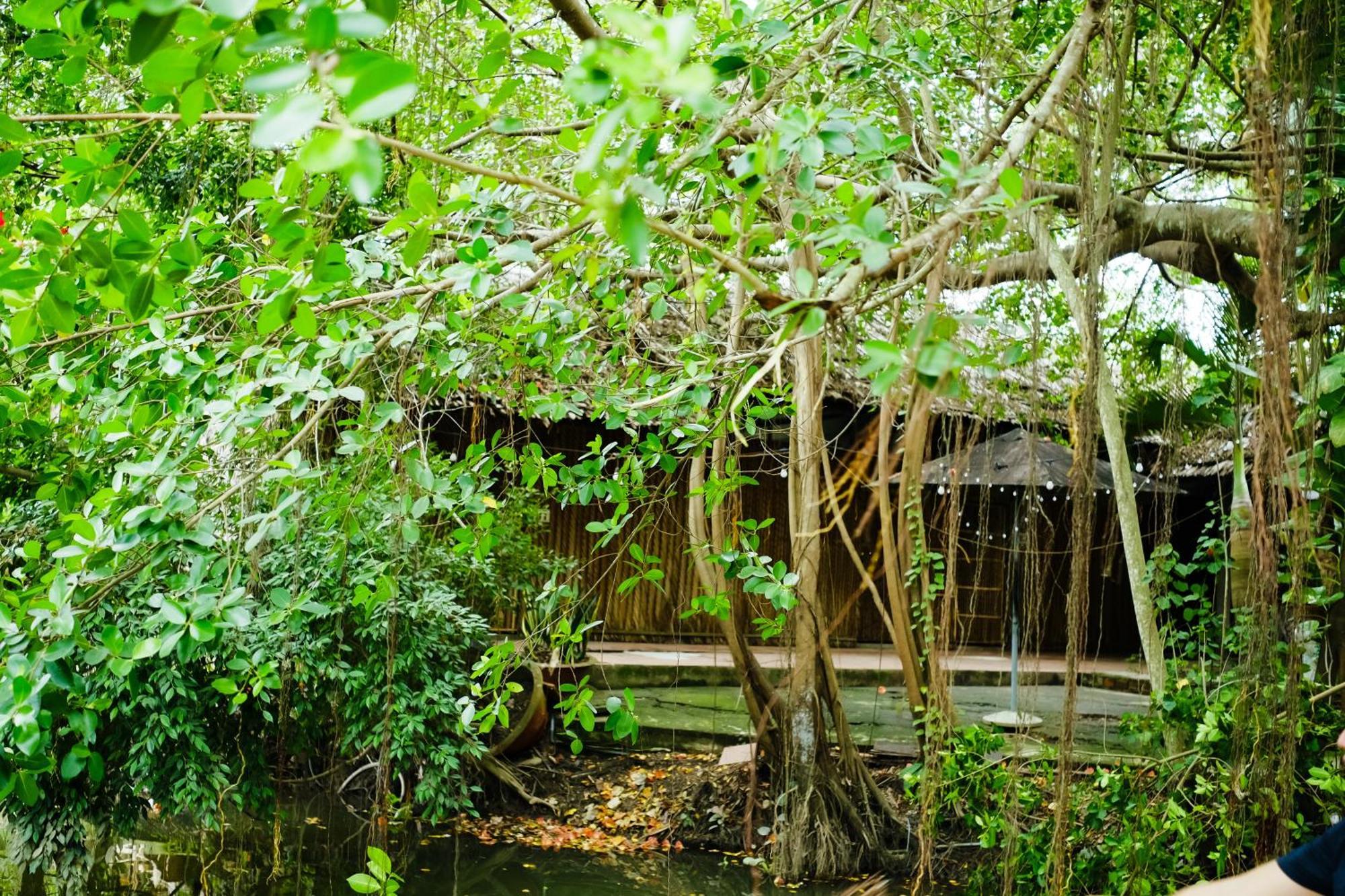 Dan Sinh Homestay كان ثو المظهر الخارجي الصورة